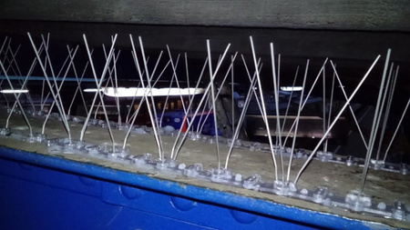 Kolce typ V - zabezpieczenie przed ptactwem