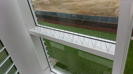 Kolce typ V - zabezpieczenie przed ptactwem