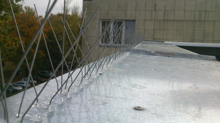 Kolce typ V - zabezpieczenie przed ptactwem