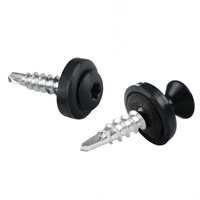 Wkręt farmerski do drewna WPD 4,8 mm x 20 mm - Parotec