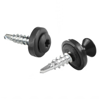 Wkręt farmerski do drewna WPD 4,8 mm x 20 mm - Parotec